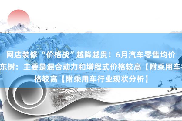 网店装修 “价格战”越降越贵！6月汽车零售均价18.6万元，崔东树：主要是混合动力和增程式价格较高【附乘用车行业现状分析】