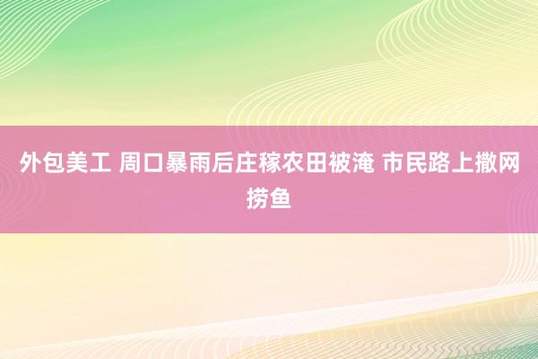 外包美工 周口暴雨后庄稼农田被淹 市民路上撒网捞鱼